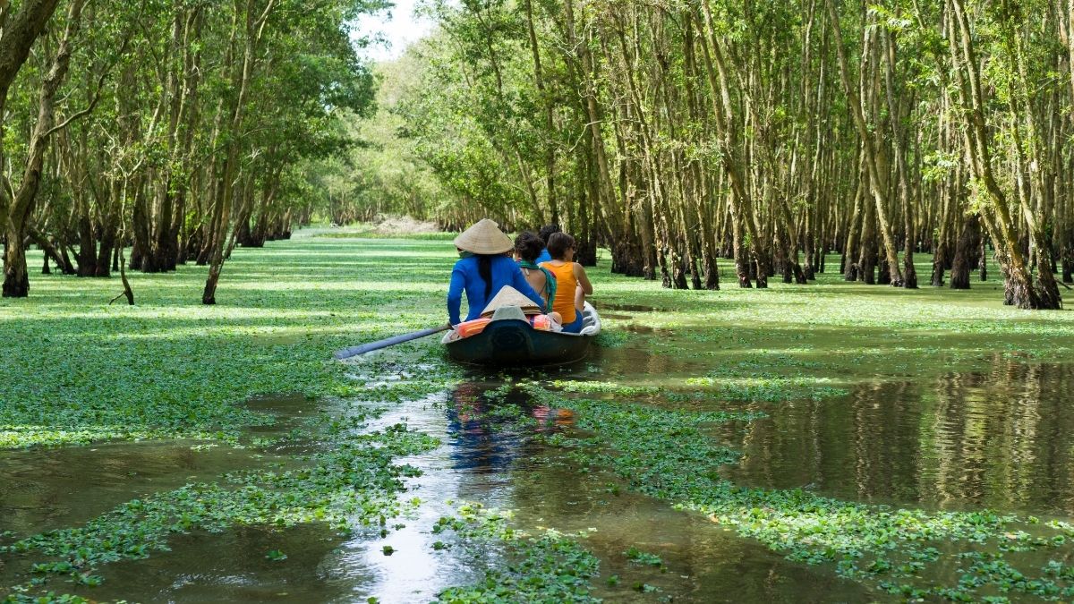 Mekong-delta