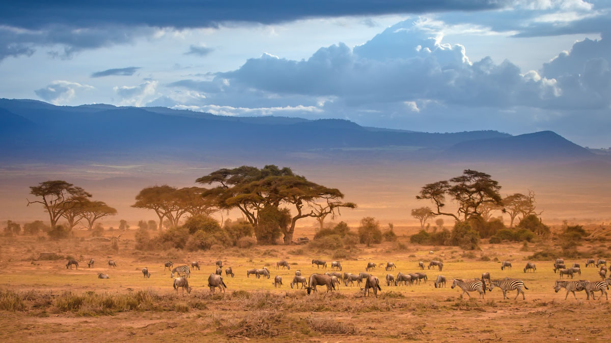 Amboseli Nemzeti Park