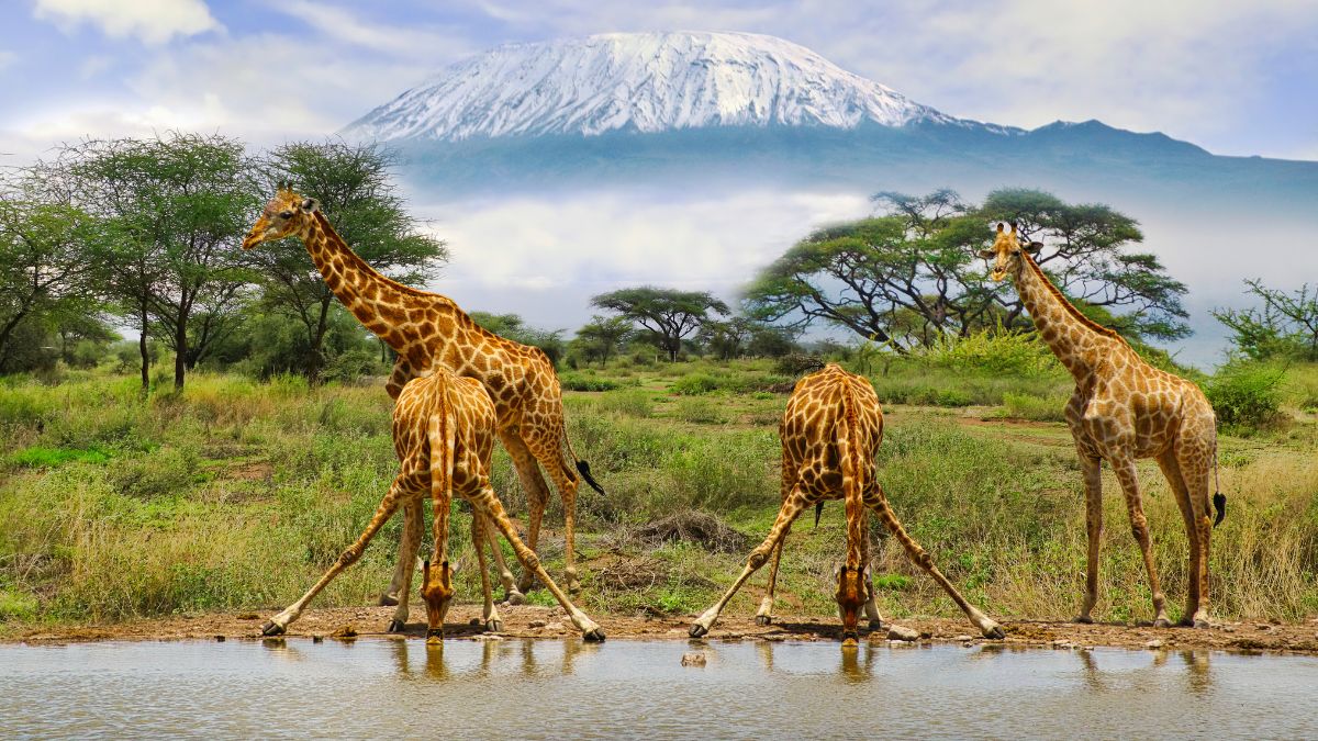 Amboseli Nemzeti Park