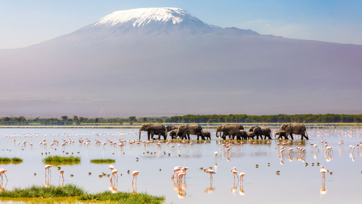 Amboseli Nemzeti Park