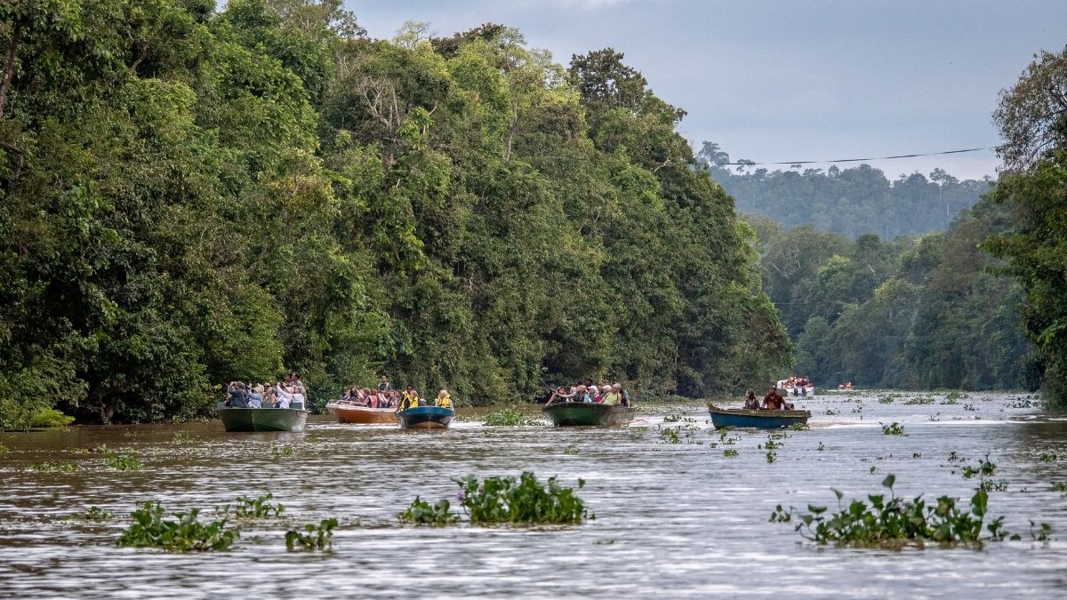 Kinabatangan folyó