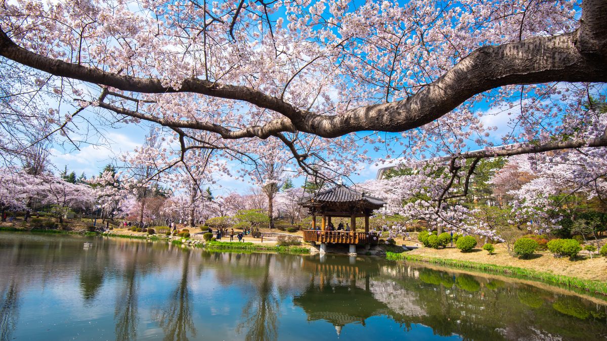 Gyeongju