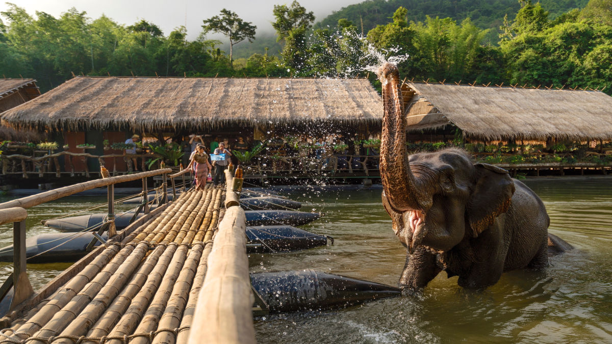 Forrás:River Kwai Jungle Rafts