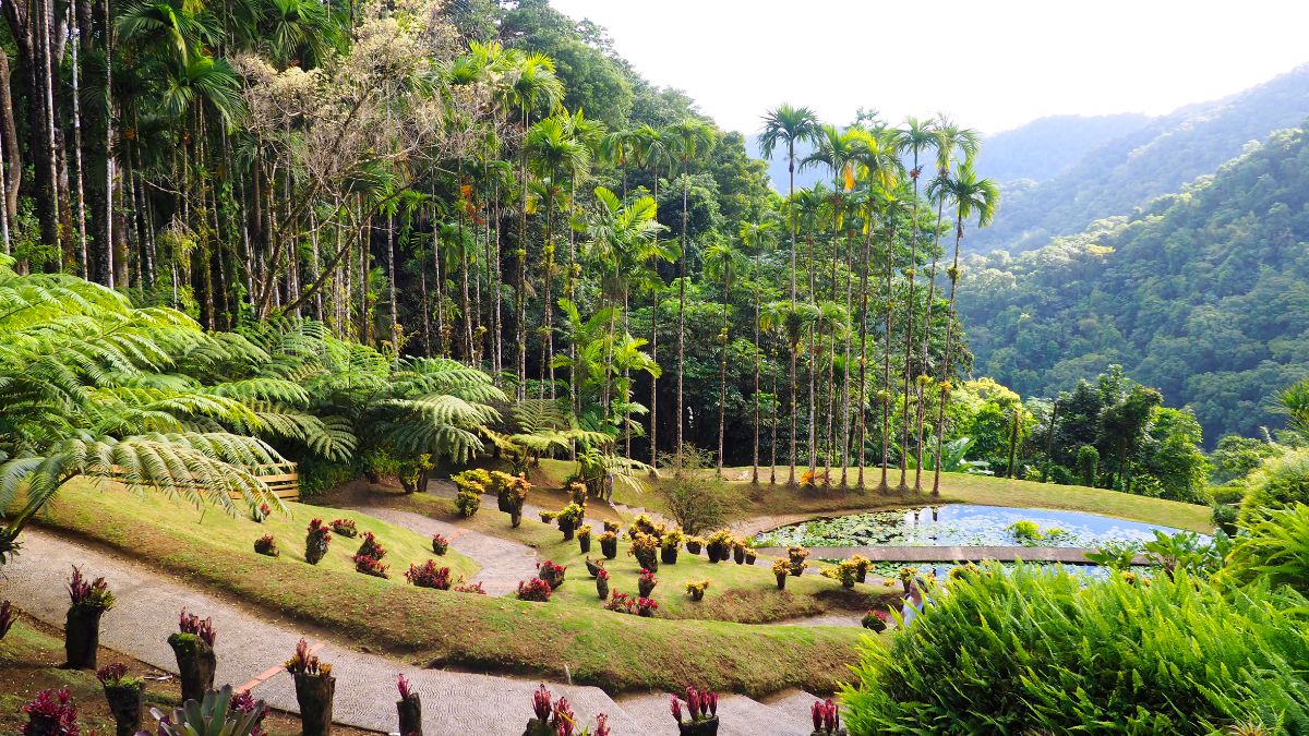 Jardin de Balata