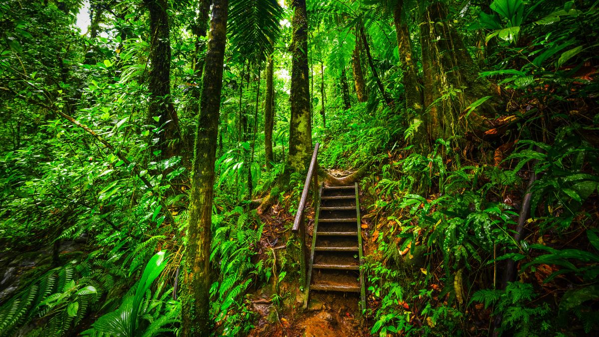 Guadeloupe Nemzeti Park