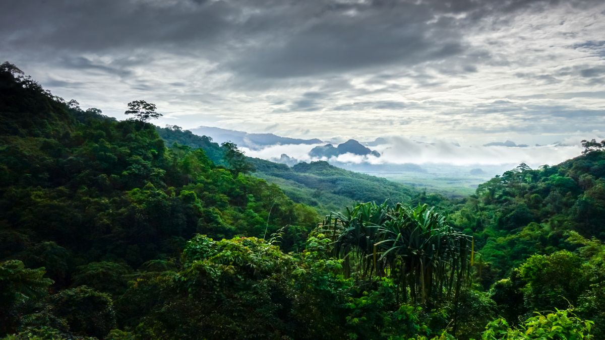 Khao Sok Nemzeti Park