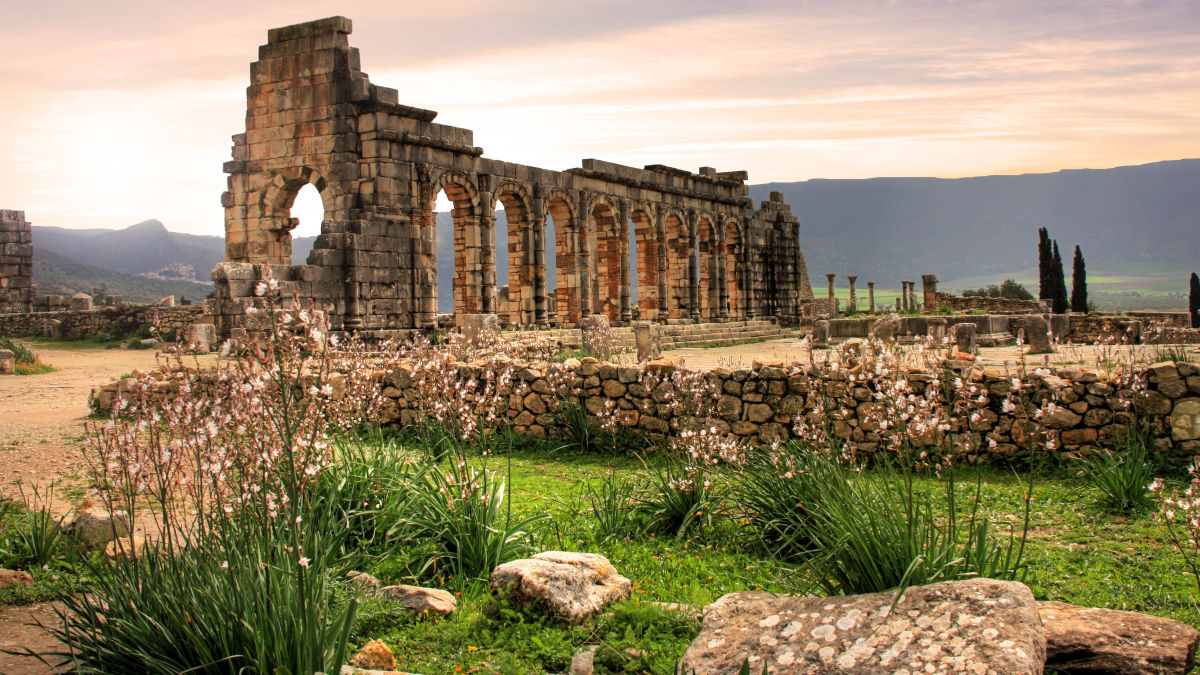 Volubilis 