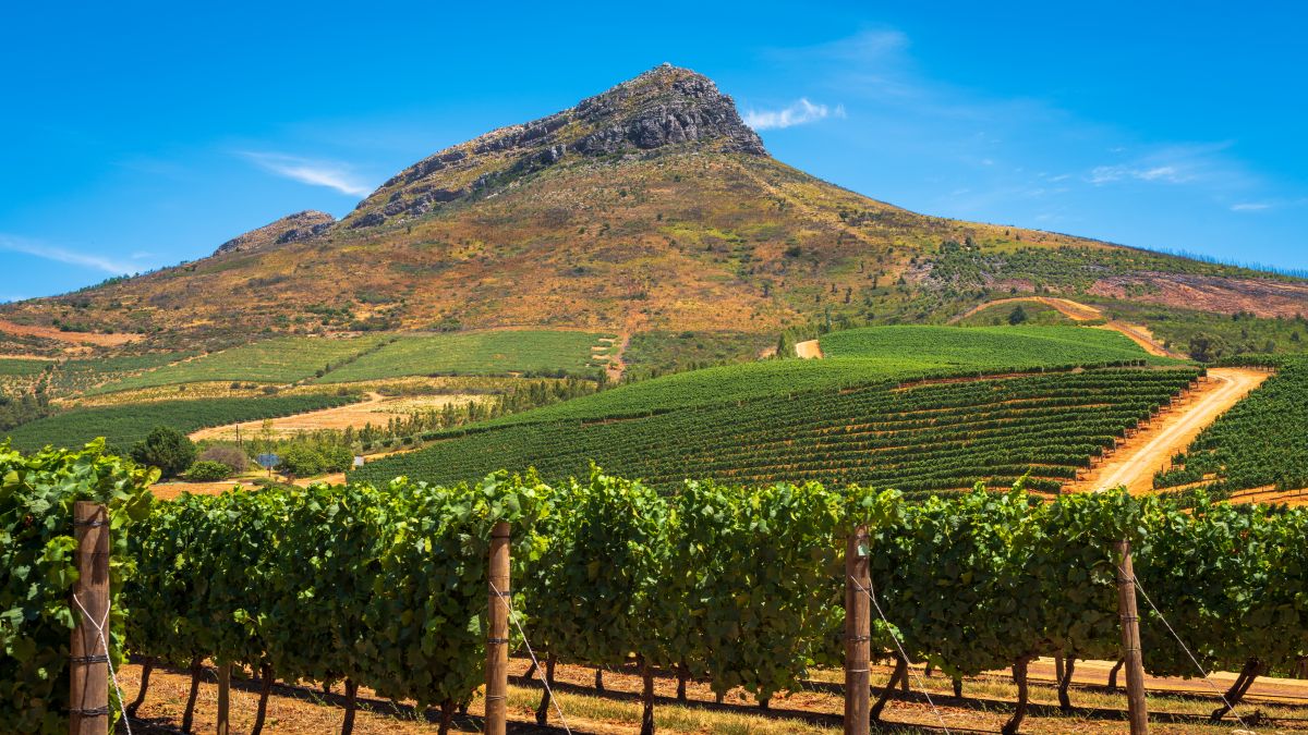 Stellenbosch