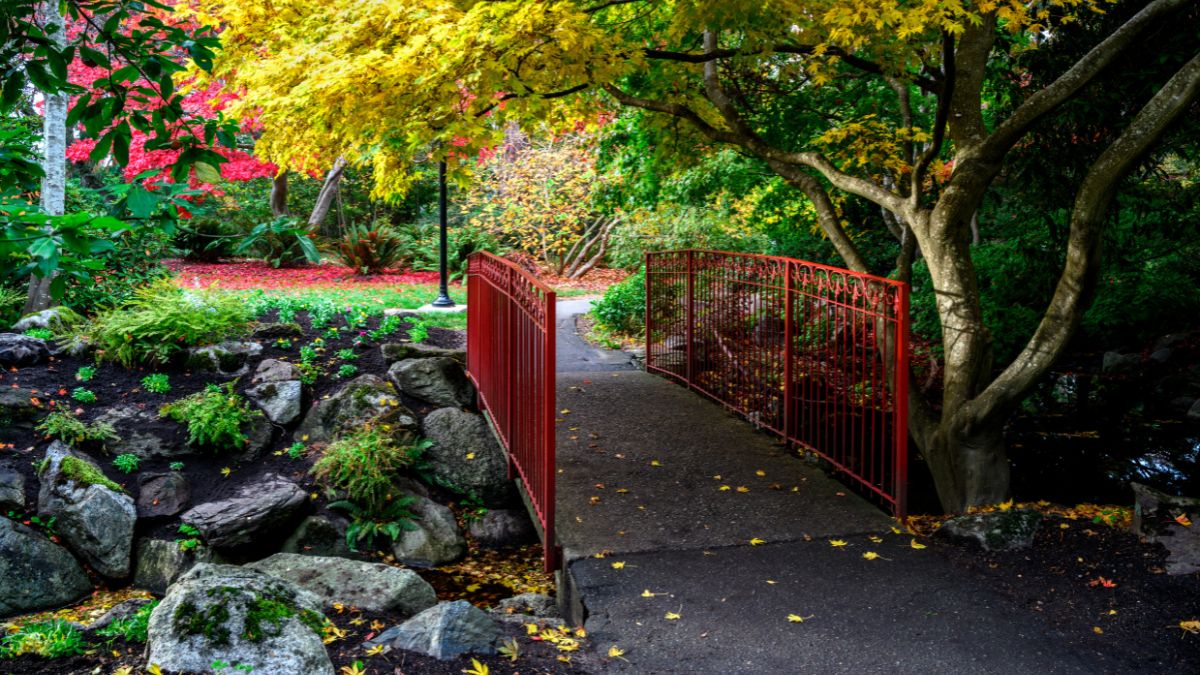 Victoria - Beacon Hill Park