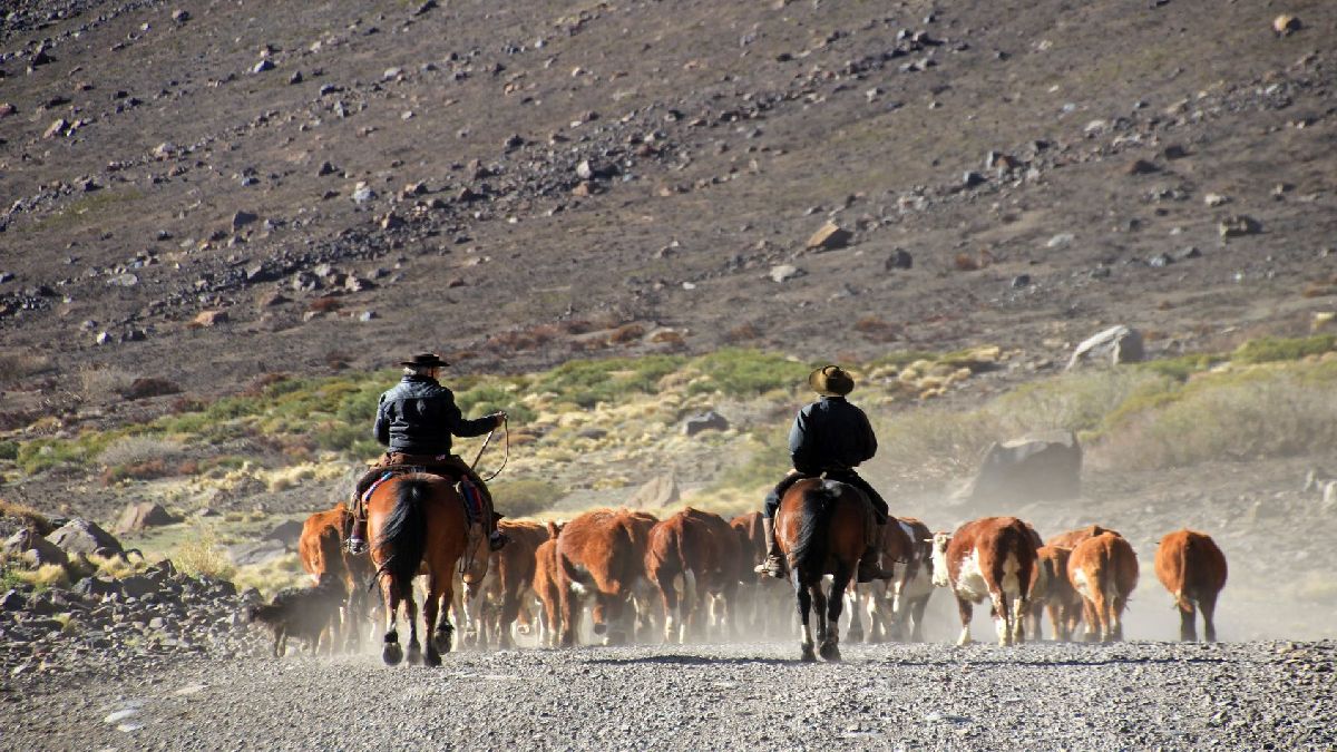 Argentína arcai - A Tűzföldtől az Iguazú vízesésig - OTP Travel utazási iroda