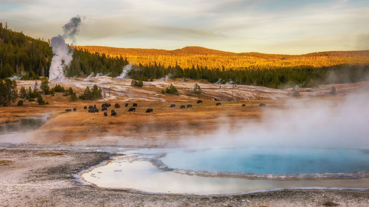 Yellowstone és az igazi vadnyugat - OTP Travel utazási iroda
