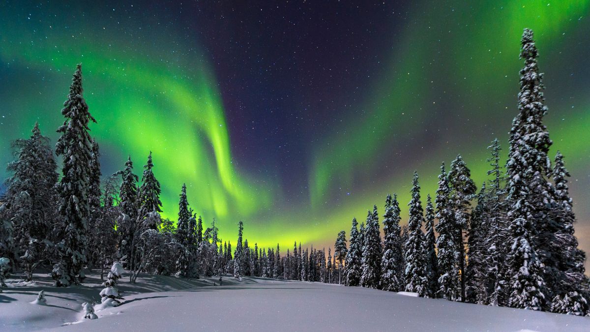 Varázslatos téli Lappföld - OTP Travel Utazási Iroda