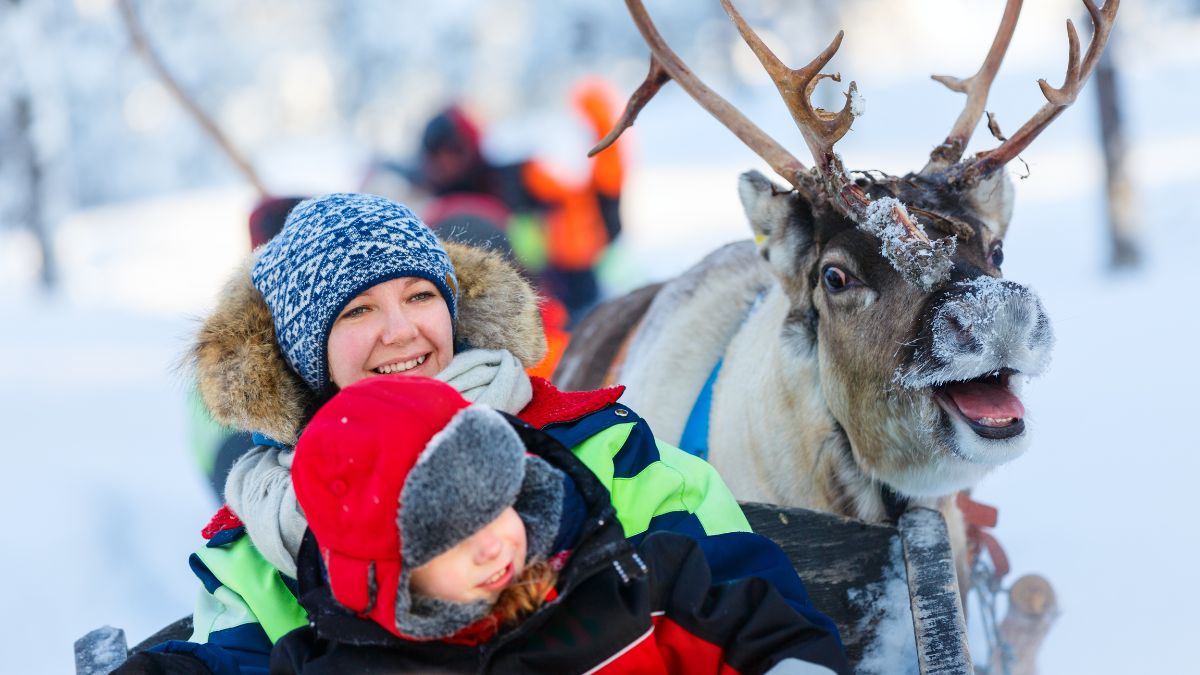 Tajgakaland Finnországban - OTP Travel utazási iroda