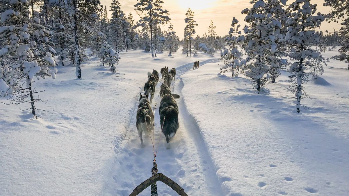 Varázslatos téli Lappföld - OTP Travel Utazási Iroda